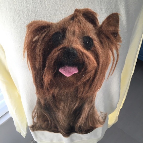 Wildfox Granny’s Dog 🐕 Baggy Beach Jumper - Picture 3 of 8